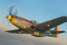 Mustang Gunfighter P-51 USAAF