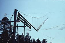 Log-antenn Horisontell Tx-Rx