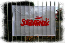 Solidaritet